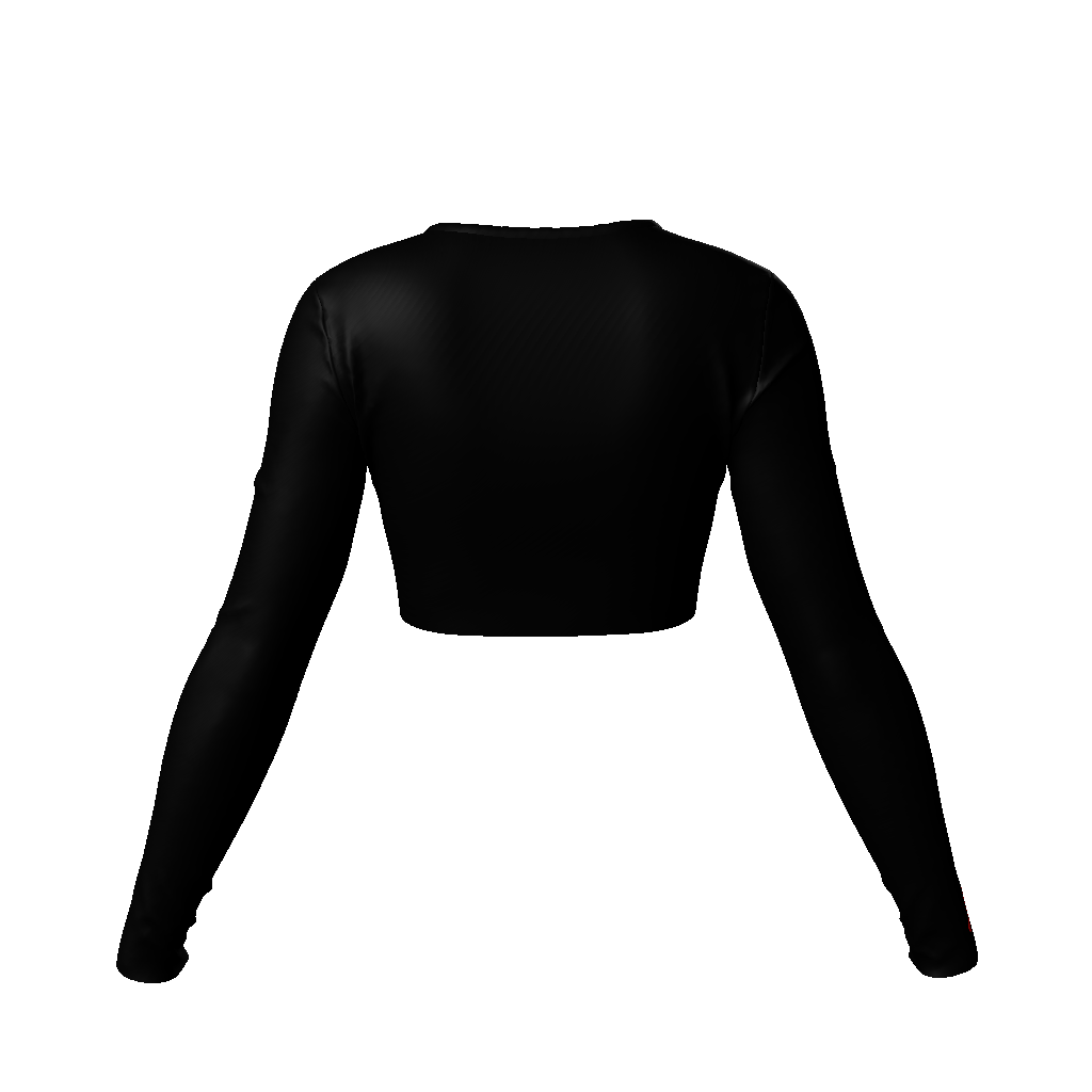 LE Long Sleeve Crop Top